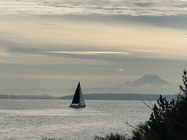 Mt. Rainer from the beach - 15116 Sunrise Dr NE