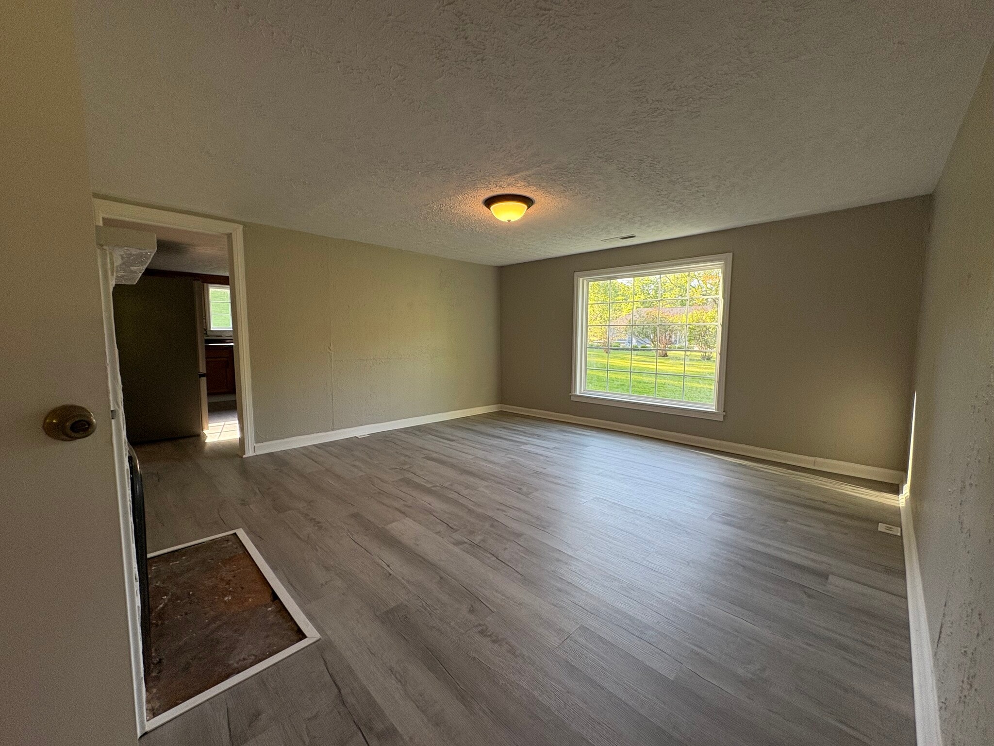 Huge picture window - brand new flooring - 9603 Alley Branch Rd