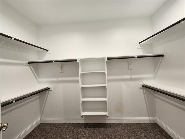 Building Photo - 2301 Blackcap St