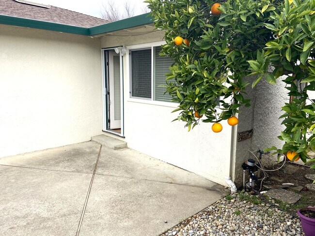 Building Photo - Spacious Duplex in Great Mountain View Area!