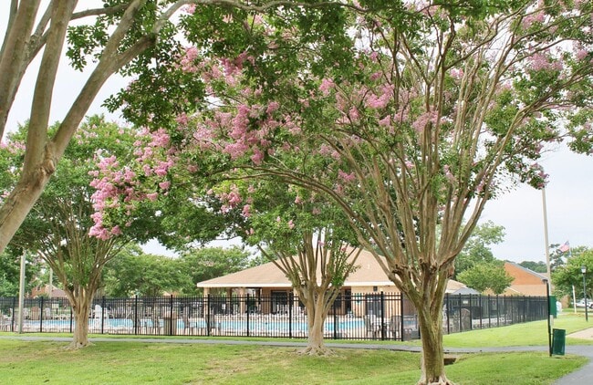 Building Photo - READY NOW!! Completely Updated 3-Bedroom Townhome in Kempsville Lake! Fenced Backyard - Pet Frien...