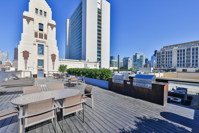 Rooftop Deck - 758 N Larrabee St