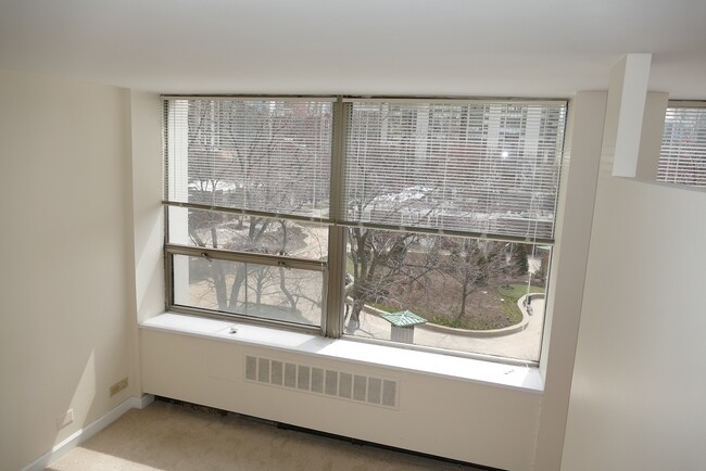 Building Photo - 1460 N Sandburg Terrace