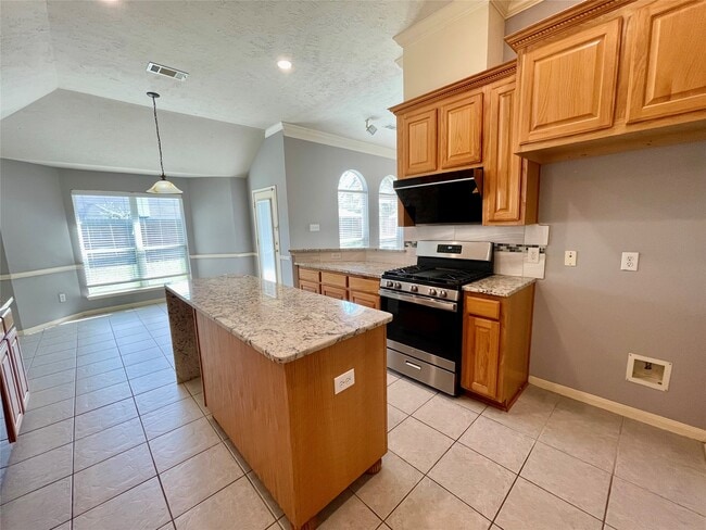 Building Photo - 17407 Adina Springs Ln