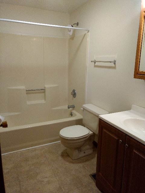 Main Bathroom - 314 Lake Crystalbrook Dr