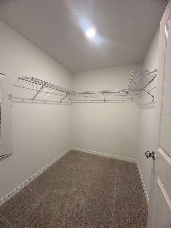 Building Photo - 8795 Coqui Song Ln