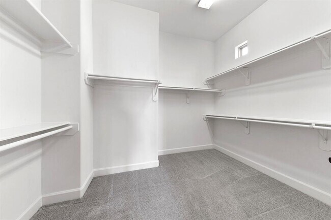 Building Photo - 3319 Bingham Manor Ln