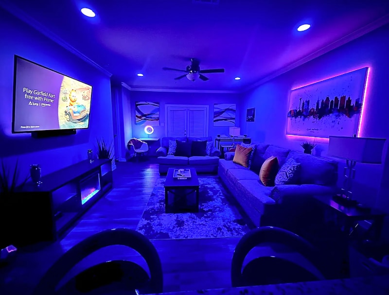 Living Room and LED Mood Lighting (Shared Space) - 850 E Erie Ave