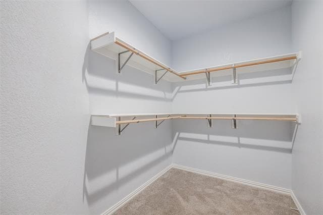 Building Photo - 3305 Francis Dr