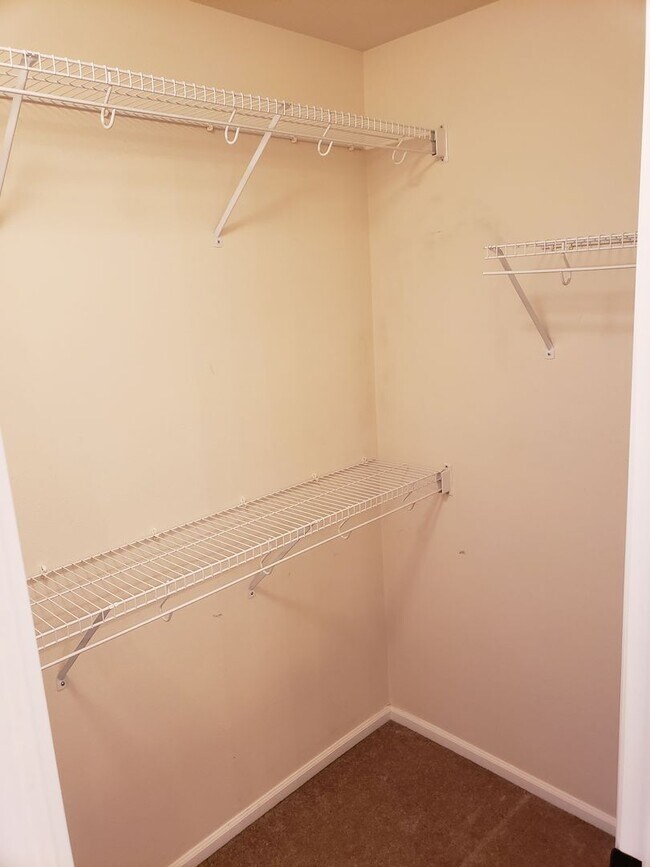 Building Photo - Two Bedroom In Cordata Neighborhood