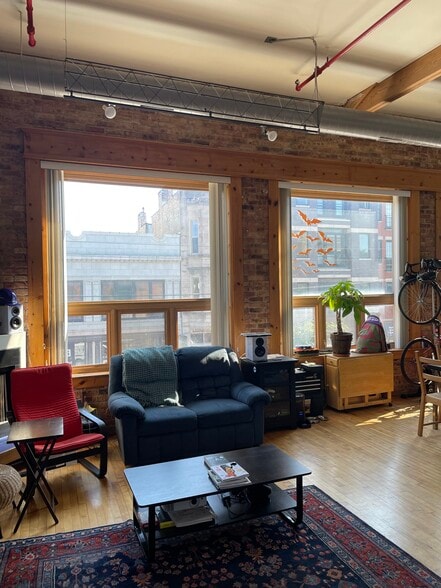 South windows, main room - 1114 W Belmont Ave