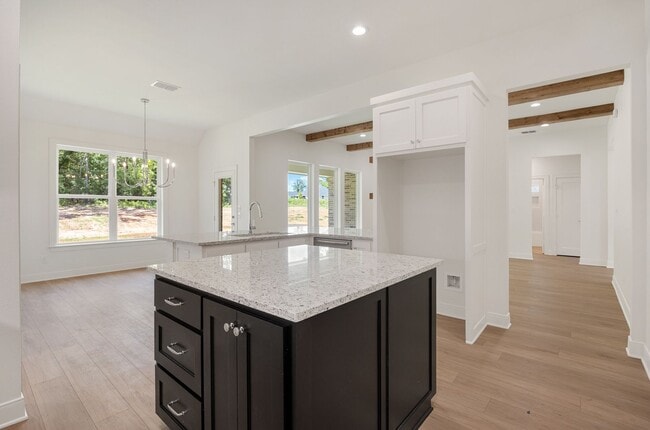 Building Photo - Gorgeous new construction in Flint!