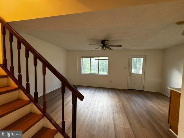 Building Photo - 13238 Custom House Ct