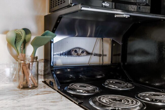 Building Photo - Furnished Park City Studio Available for Rent