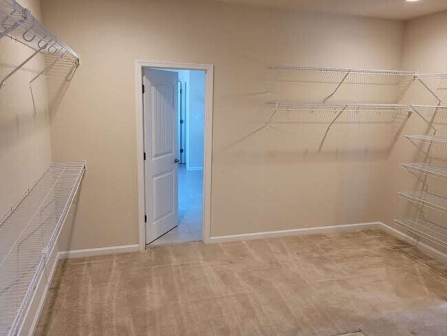 Building Photo - 509 Ackerman Ln