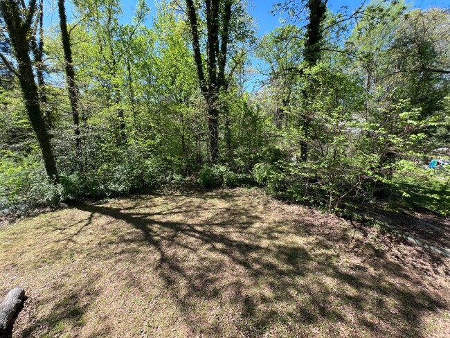 Building Photo - 3 Bedroom, 1 Bath, Nice Backyard!