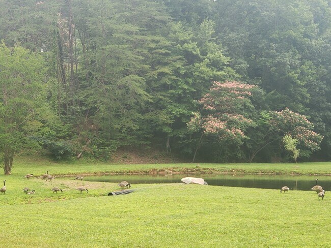 Building Photo - 1110 S Spring Hollow Rd