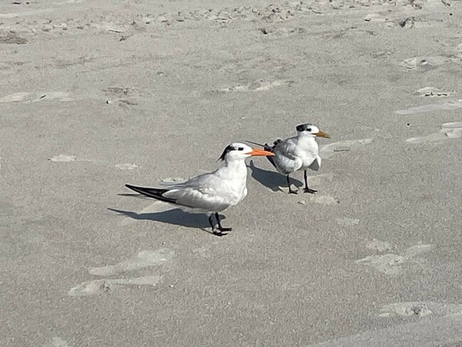 Building Photo - 2127 Smathers Cir N