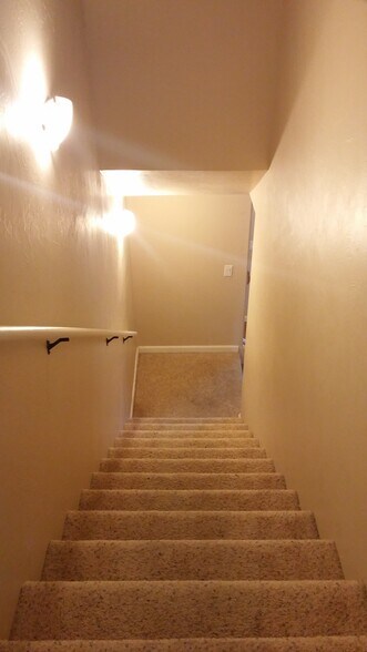 Building Photo - 2928 Paula Ln