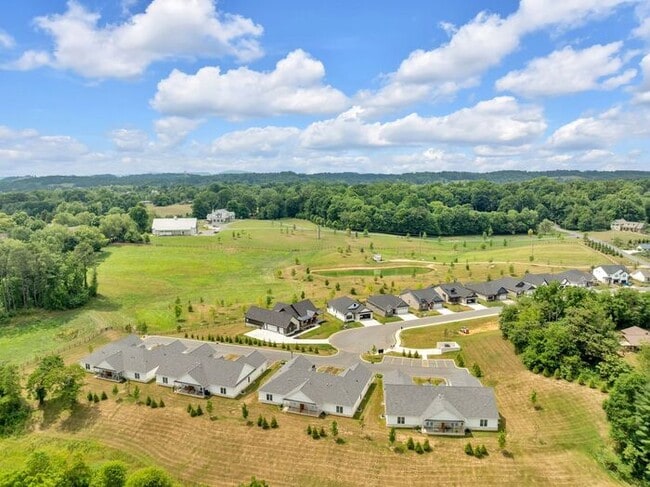 Building Photo - Wilson Knob View Condominiums