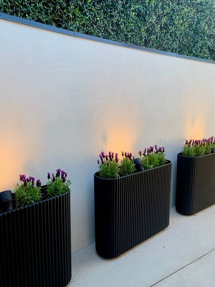 Building Photo - 7353 Pyramid Pl