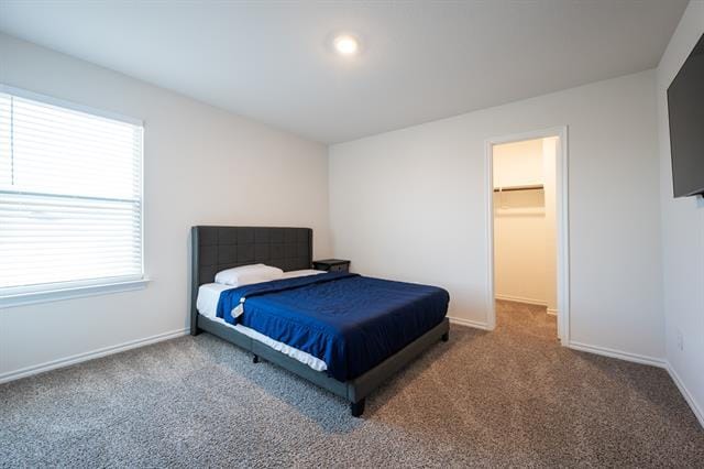 Building Photo - 1171 Norias Dr