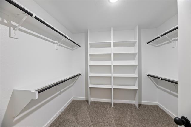 Building Photo - 4062 Lecroy Ct