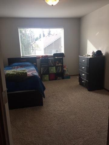 Building Photo - Modern Comfort and Space in a Peaceful Bot...