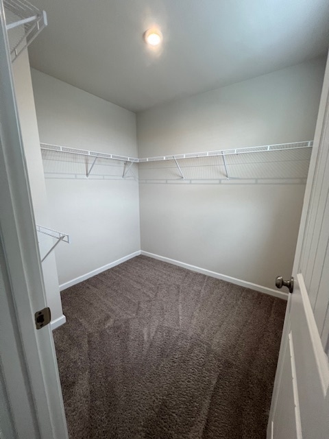 Building Photo - 544 Becks Pl