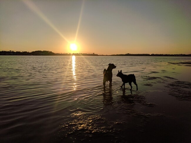 Building Photo - 6375 Riverwalk Ln