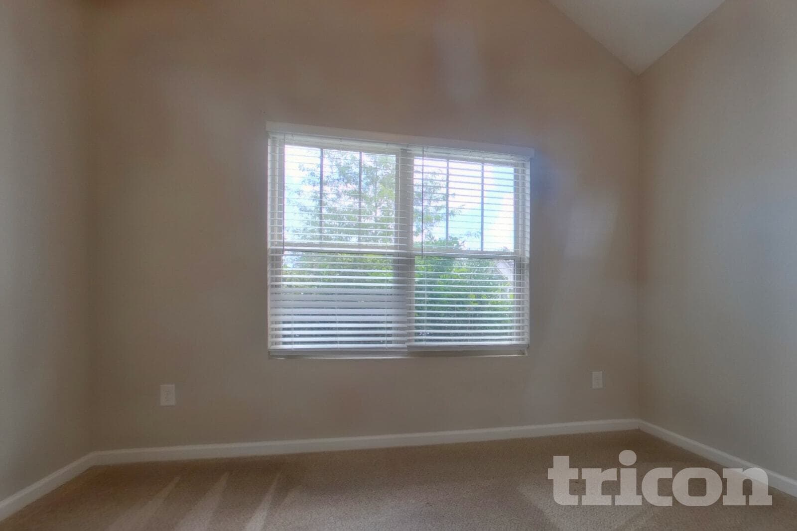 Building Photo - 216 Stone Creek Ct
