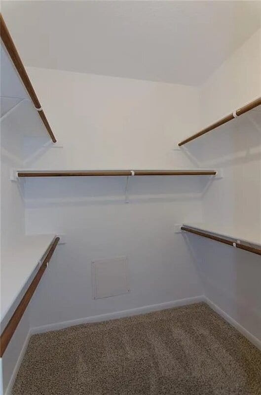 Building Photo - 3101 Davis Ln