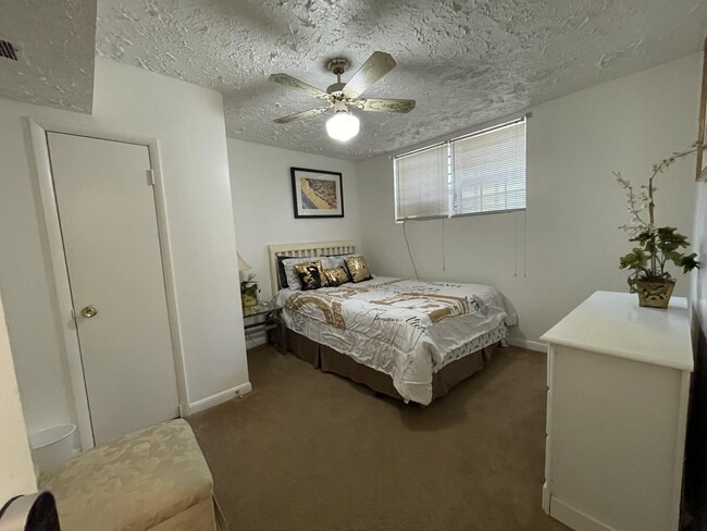 Building Photo - 955 Bimini Ln