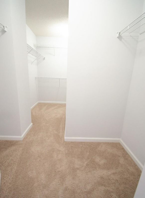 Building Photo - Large 3 bedroom 2 living room house w comm Pool!