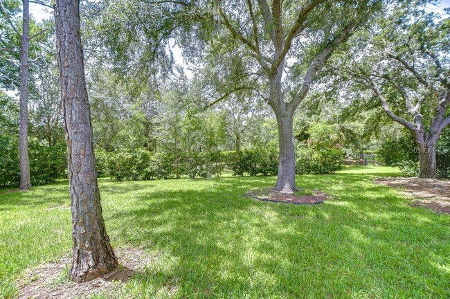 Building Photo - 8005 Shaddock Pl
