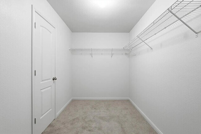 Building Photo - 4306 Cat Tail Wy