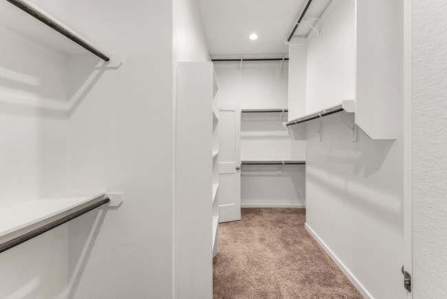 Building Photo - 104 Windflower Track Ct