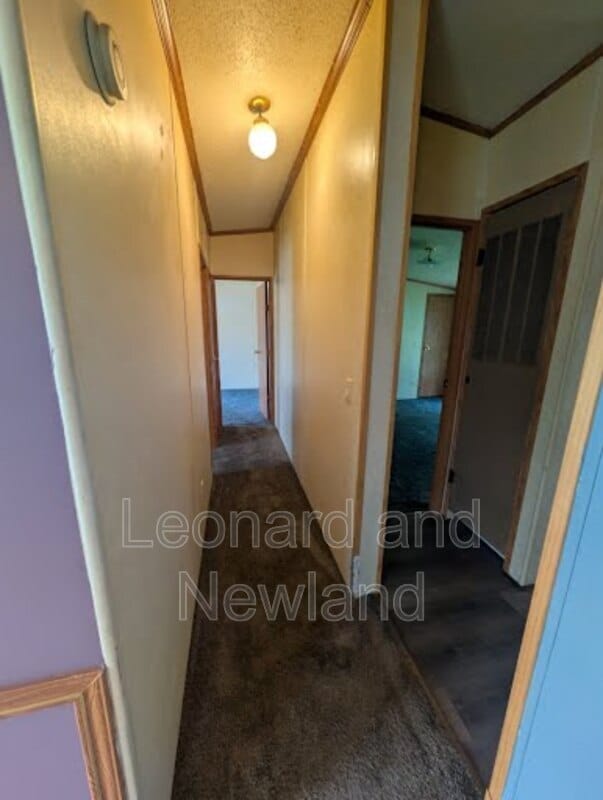 Building Photo - 62846 Byesville Rd
