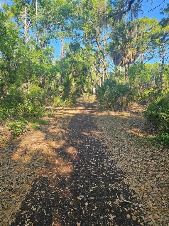 Building Photo - 4849 Camphor Ave