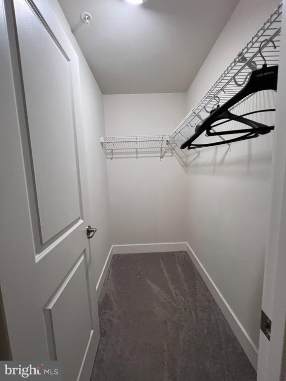 Building Photo - 4563 Shakespeare Cir