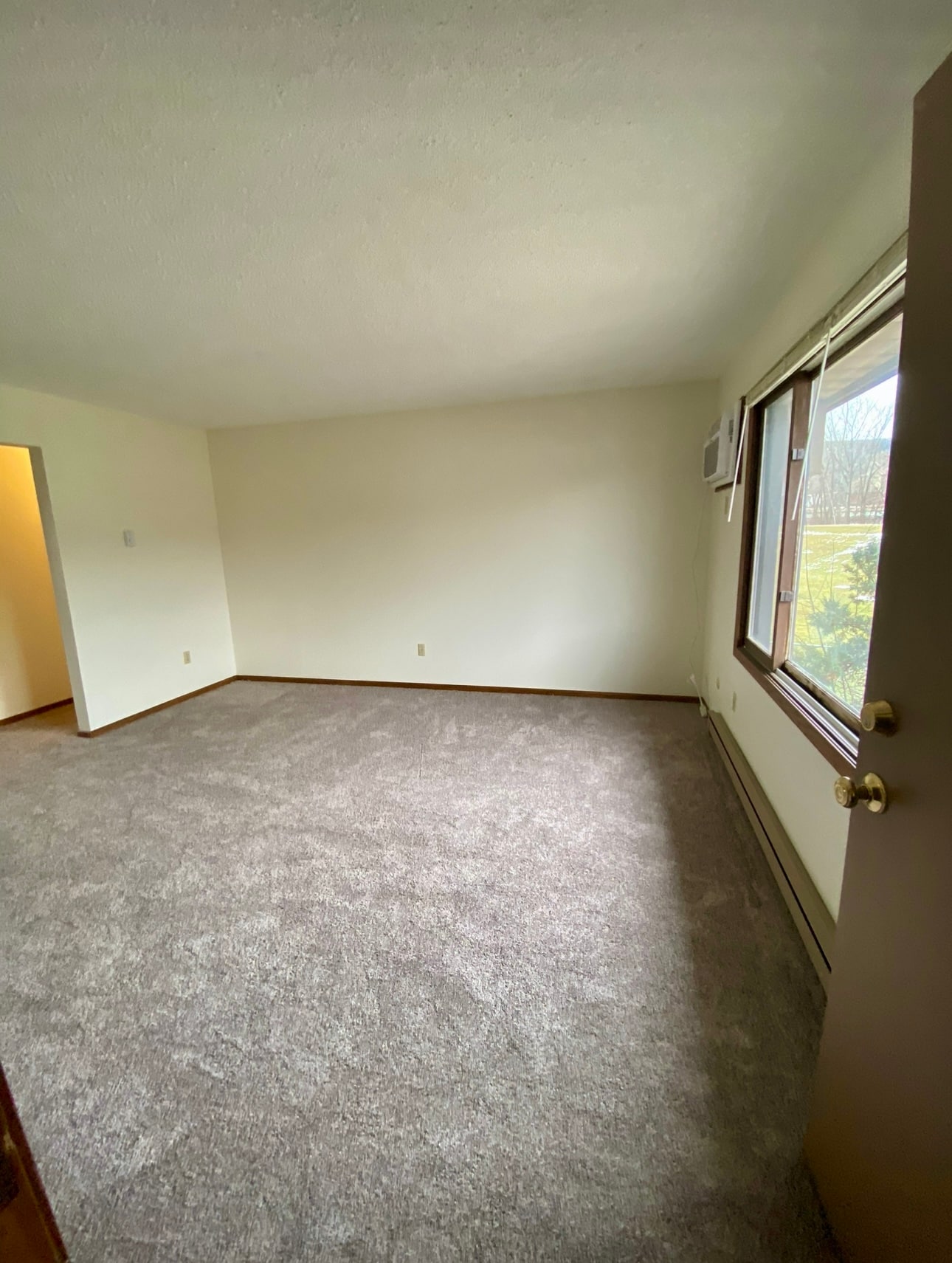 Living room - 537 Kerry Dr