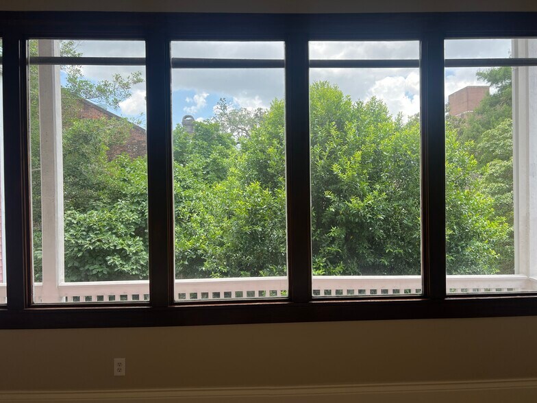 View from Living room - 1436 Louisiana Avenue