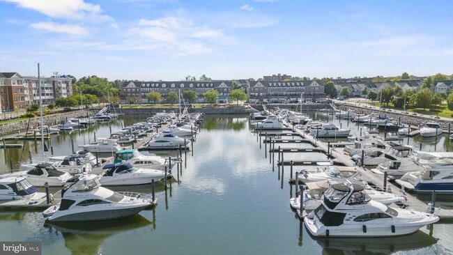 Building Photo - 440 Belmont Bay Dr