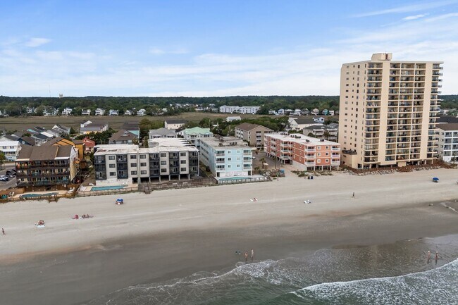 Building Photo - Shore Thing: Seasonal Beachfront Rental (Nov 1 - February 28, 2026)