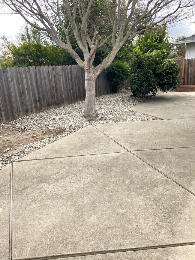 Building Photo - Spacious Duplex in Great Mountain View Area!