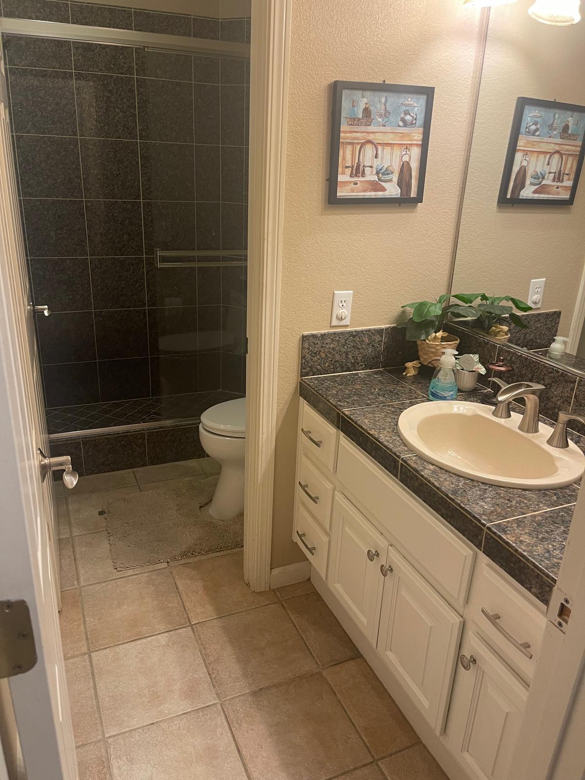 1st Floor Bathroom#1 - 6342 Skywalker Dr