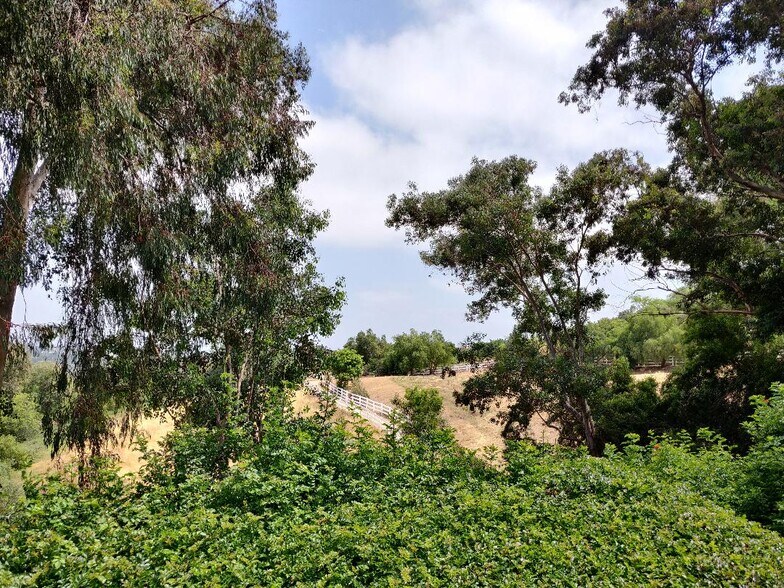 Rear of House_4 - 3124 Oakview Ln