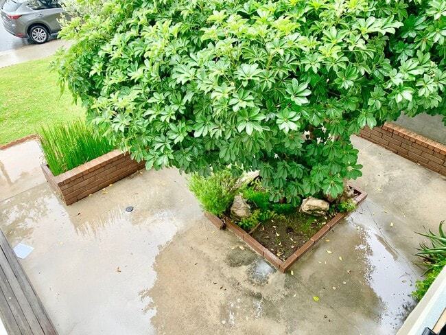 Building Photo - Five Bedroom Single Family Home in Irvine!