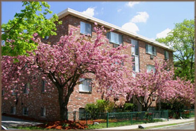 Building Photo - Gardner St Allston 2bed / 1bath with heat and hot water included, no broker fee
