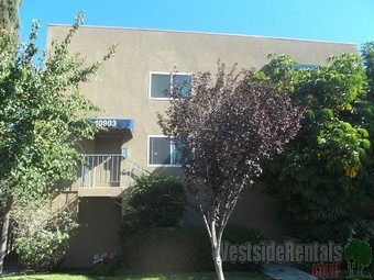 Primary Photo - 10903 Camarillo St